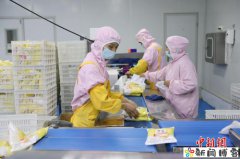 （走进中国乡村）陕西潼关肉夹馍产业加速出海