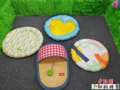浙江宠物消暑用品热销海外
